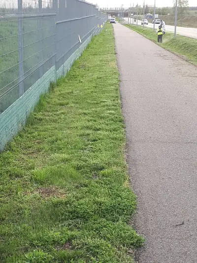 Fűkaszálás munka közben – 6. kép