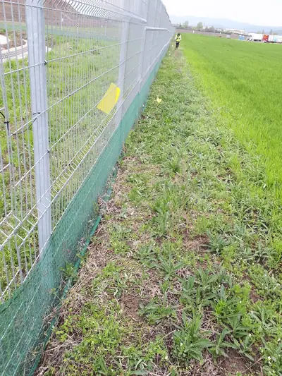 Fűkaszálás munka közben – 5. kép