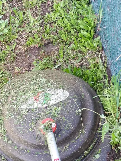 Fűkaszálás munka közben – 4. kép